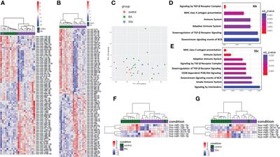 Frontiers Circulating Mirna B As A Biomarker Of Disease Progression